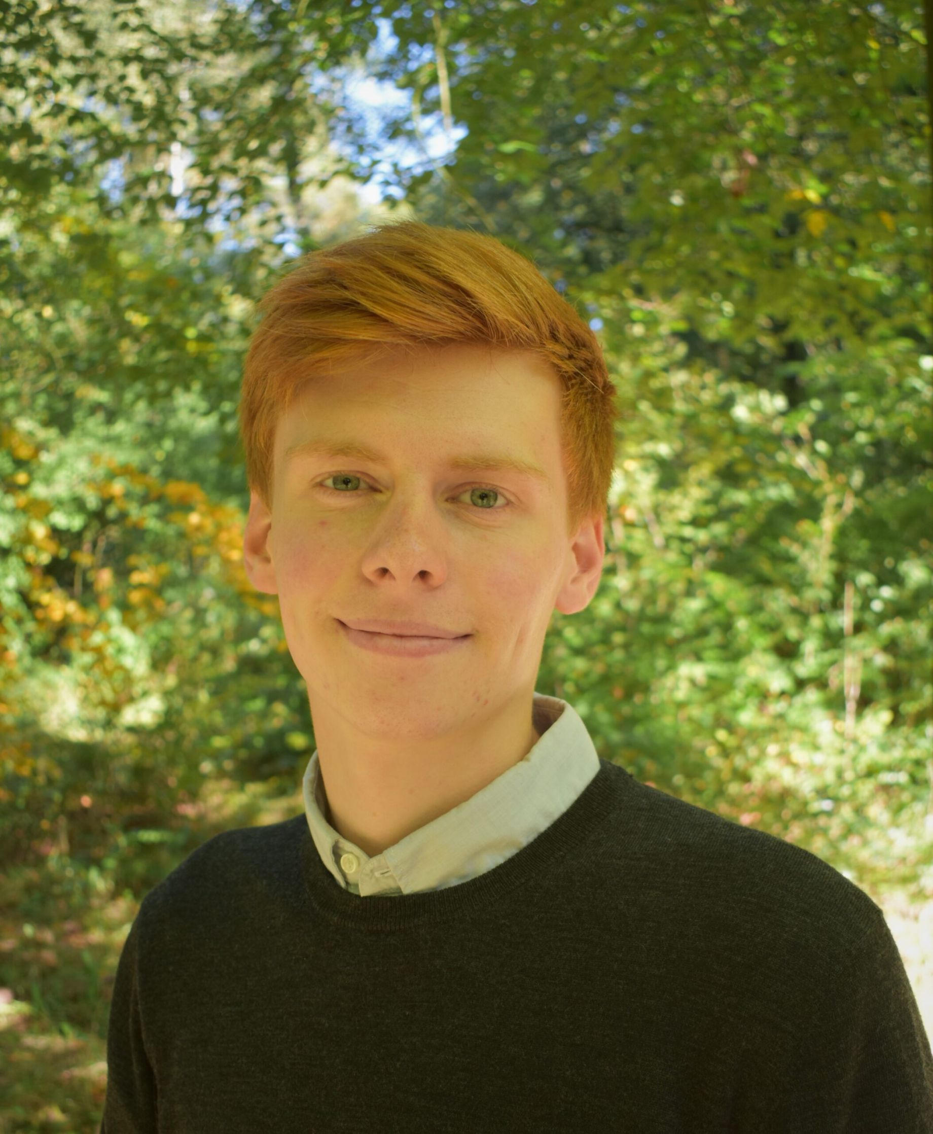 image by ward vleeshouwers