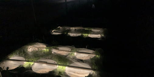 Image by Evelien Castrop