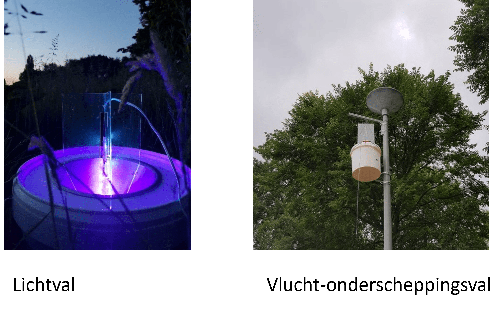 Image by Hannah Broeckx