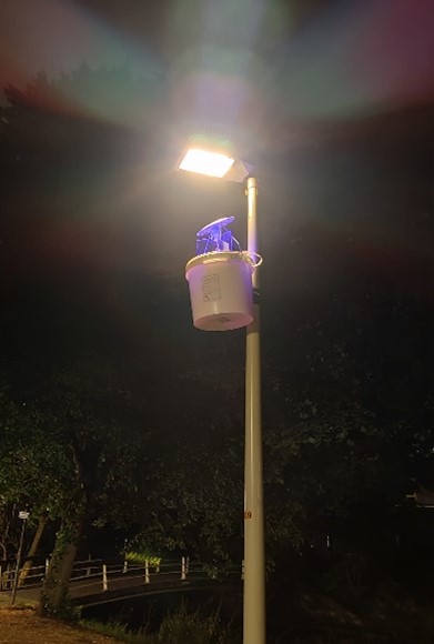 Image by Hannah Broeckx