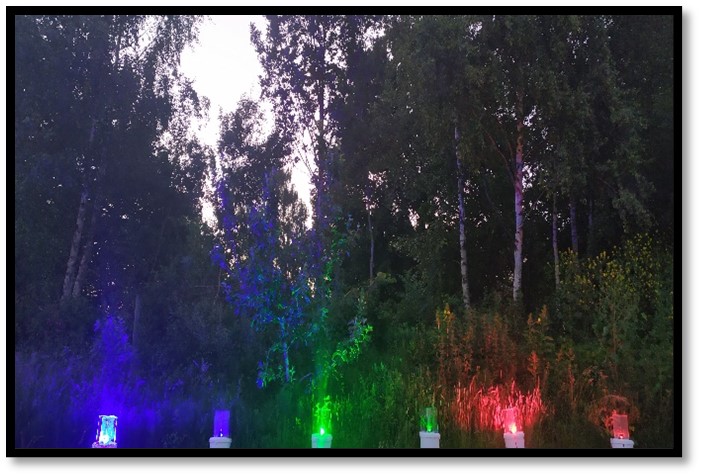 Image by Hannah Broeckx