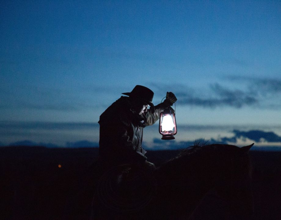 Image by Priscilla du Preez