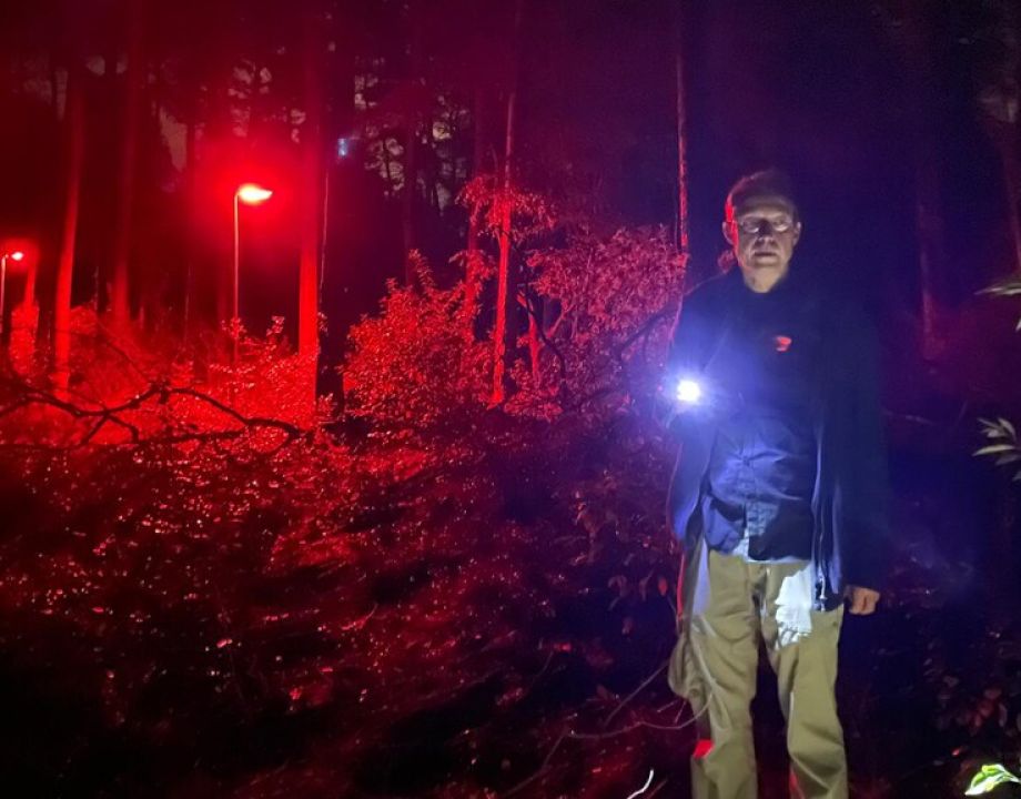 Image by RTL Nieuws Editie NL