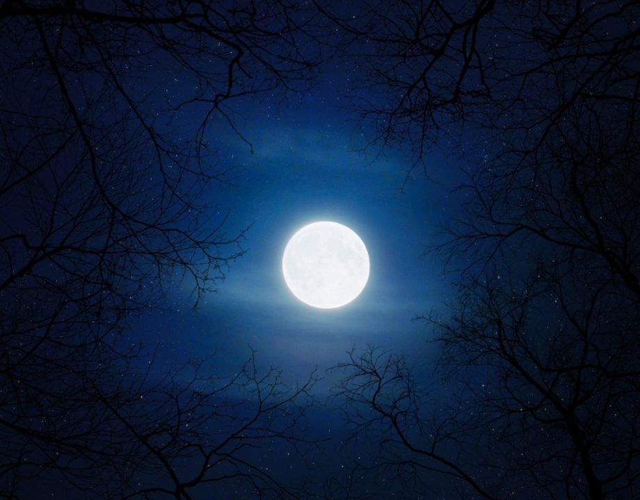 Photo by aron visuals on unsplash