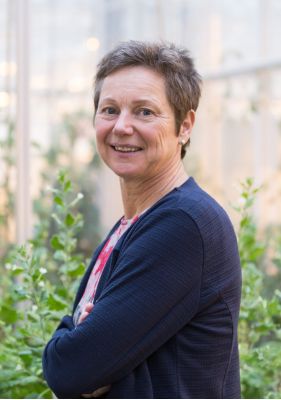 Prof. dr. Astrid T. Groot