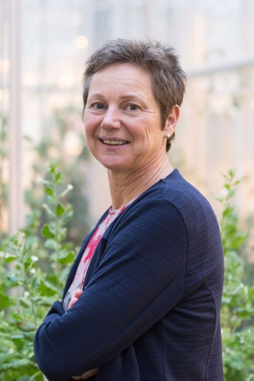 Prof. dr. Astrid T. Groot