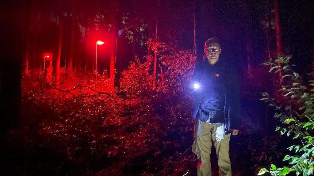 Image by RTL Nieuws Editie NL