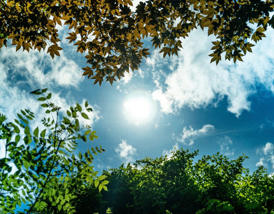 Photo on Unsplash by Ainsley Myles