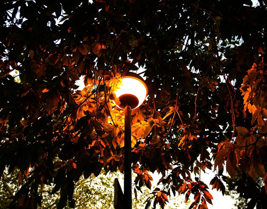 Photo on Unsplash by Victoria Feliniak